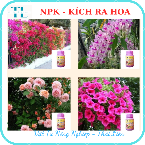 Phân Bón Lá Đầu Trâu Siêu Ra Hoa 6-30-32+TE Plus Kích thích ra hoa đậu trái