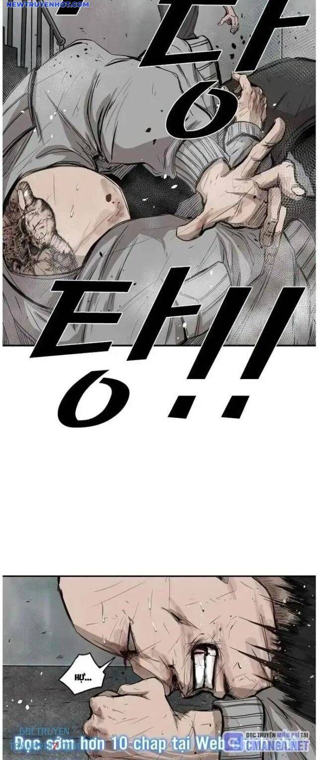 shark - cá mập chapter 85 37