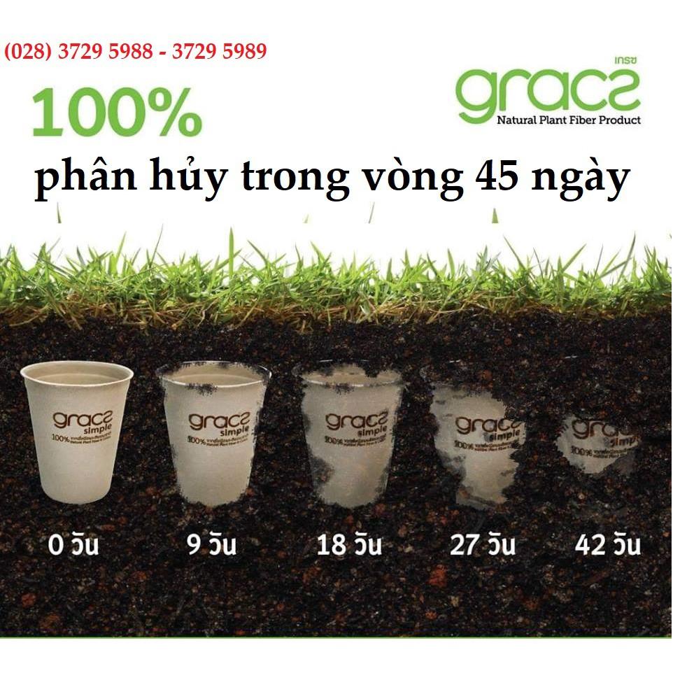 Chén giấy bã mía Thái Lan 230ml (10cái, 20 cái, 30 cái, 40 cái/xấp) - thương hiệu Gracz