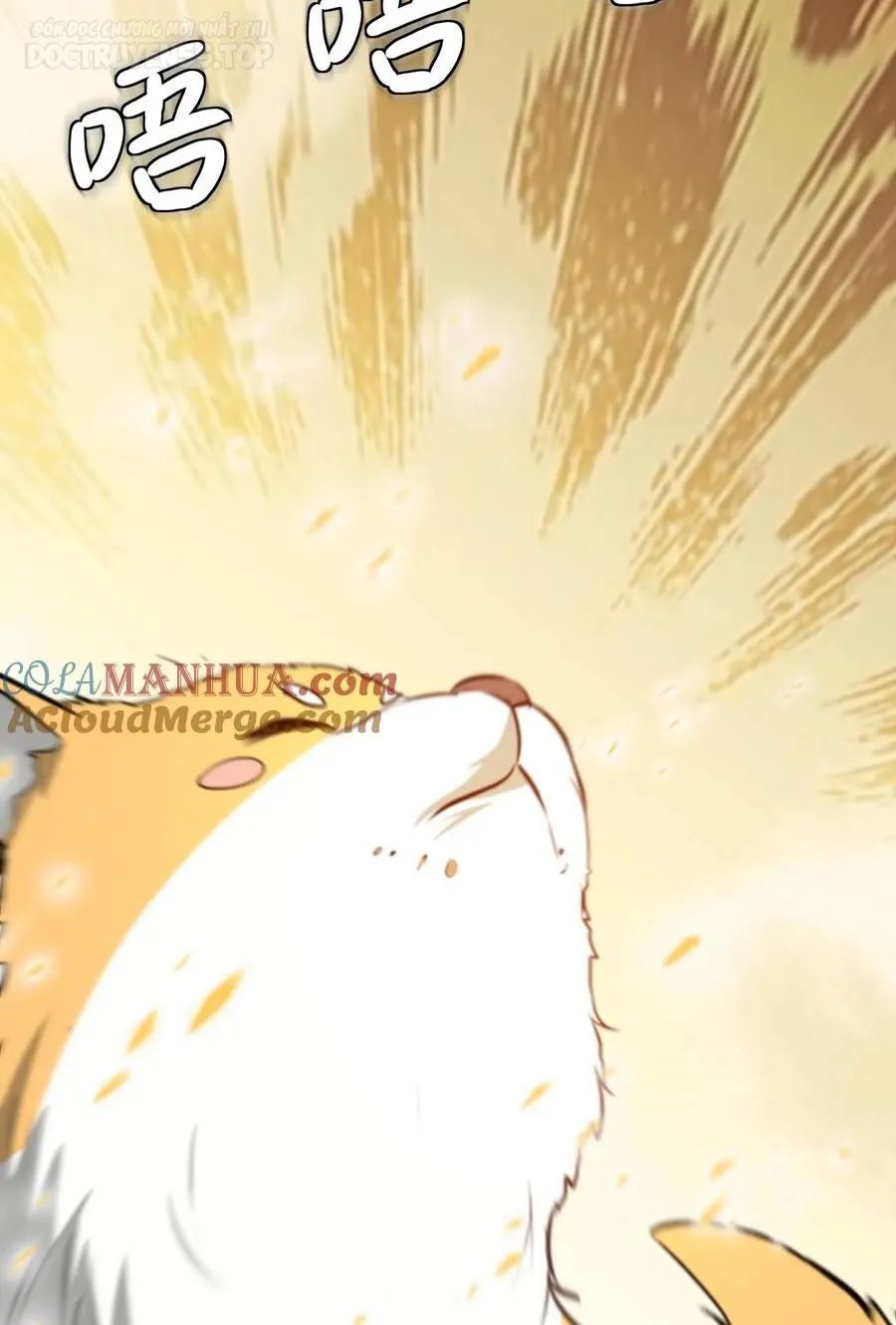 huyền huyễn: ta bắt đầu vô địch từ bại gia chapter 14 11