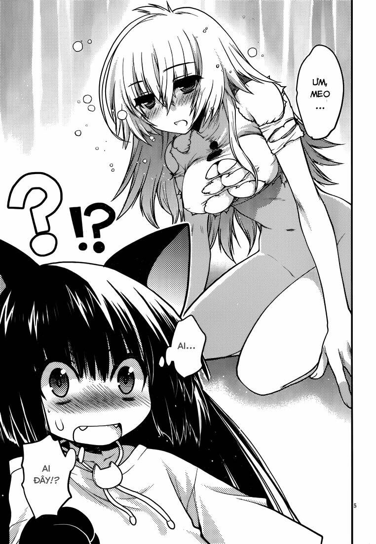 tamanyan chapter 5 6