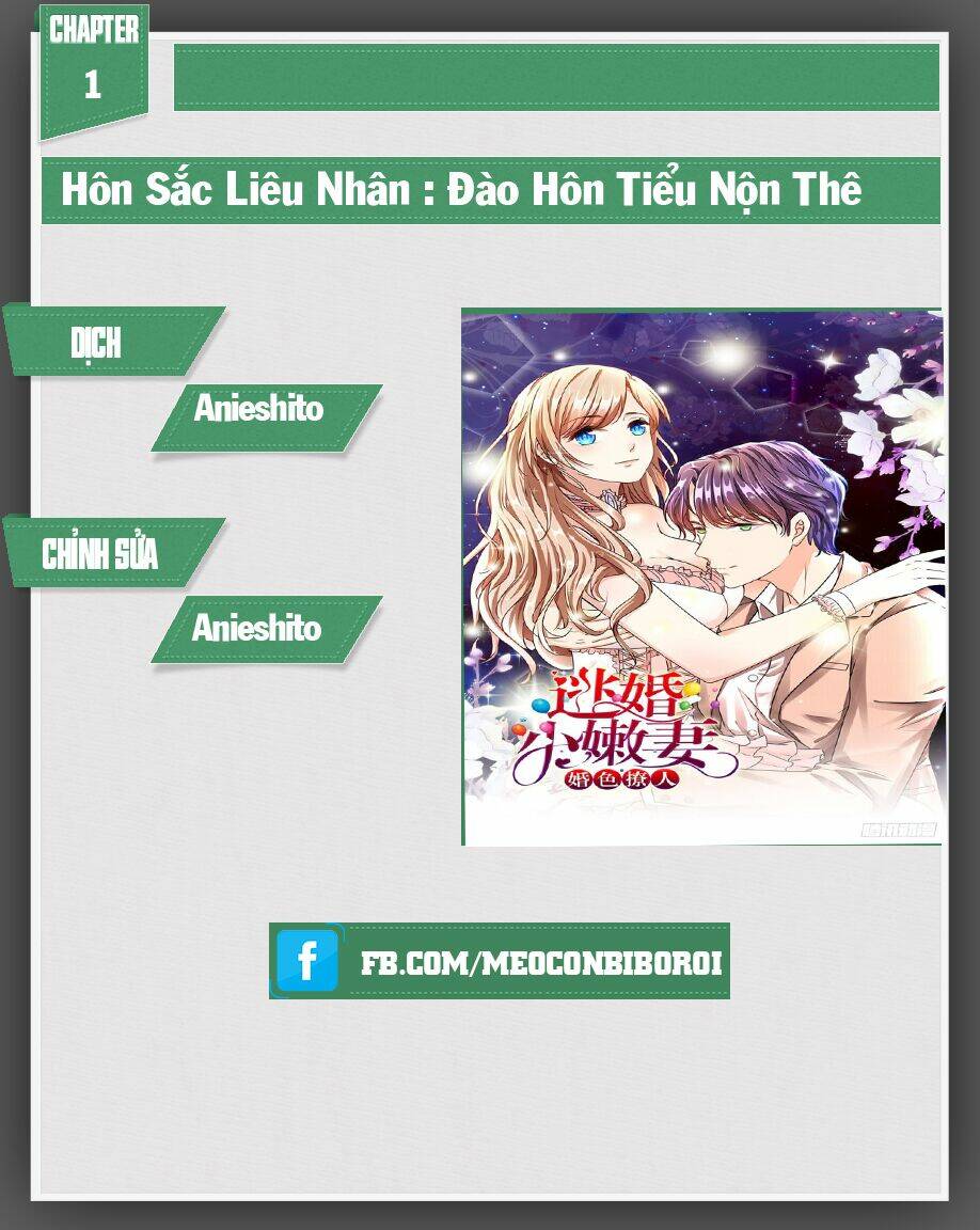 hôn sắc liêu nhân : đào hôn tiểu nộn thê chapter 1 1