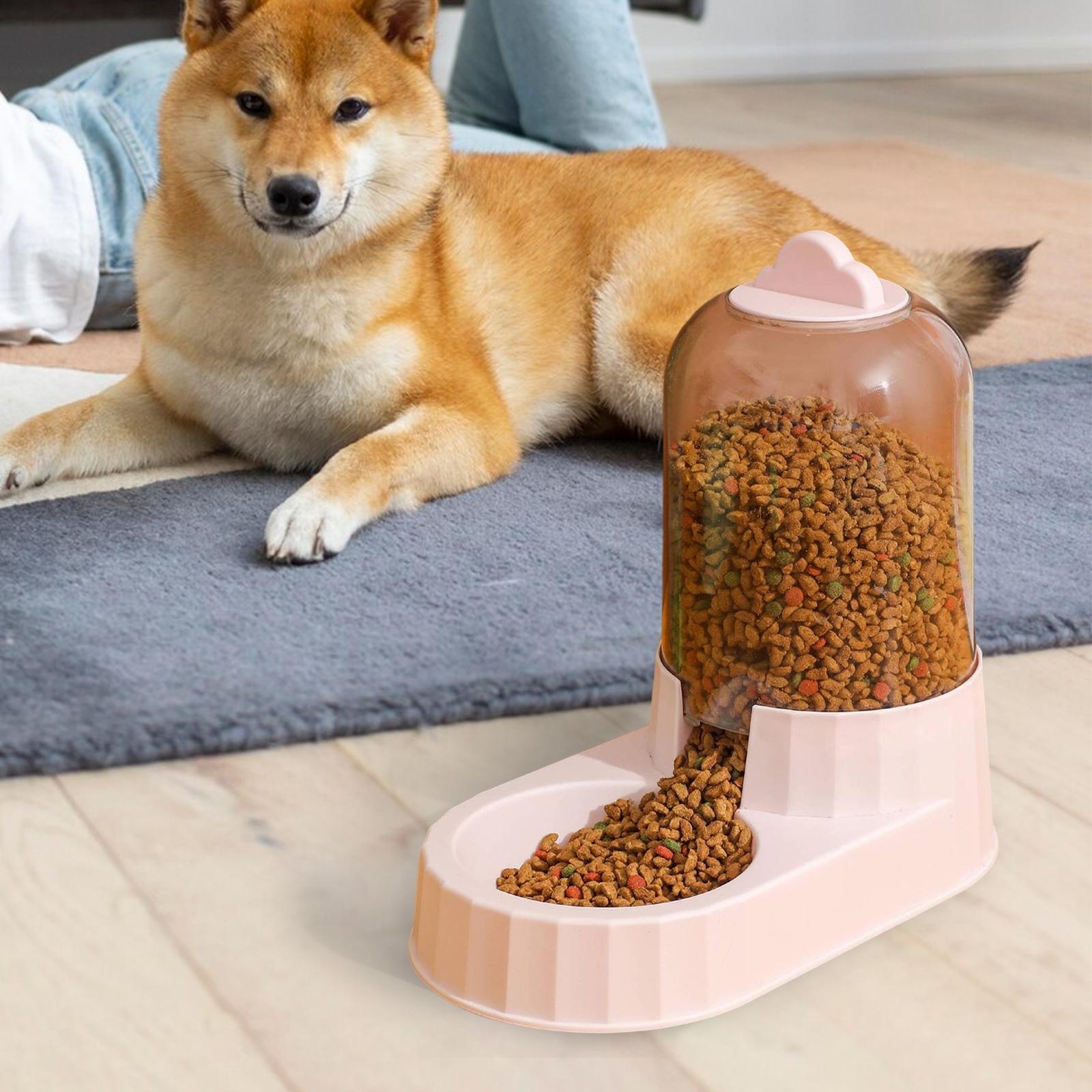 Automatic Pet Feeder Food Bowls Water Food Dispenser Dish Food Feeder for Kitty Bunny