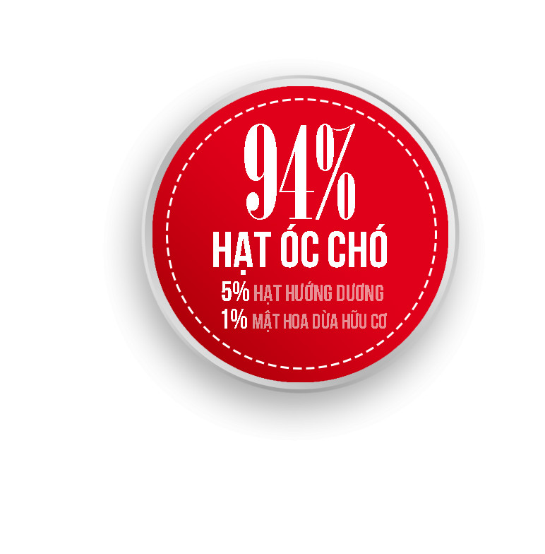 Combo 2 Lốc Sữa Óc Chó Nguyên Chất 137 Degrees (180ML x 6 Hộp)