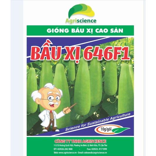 Hạt Giống Bầu Xị Cao Sản - 646F1 -