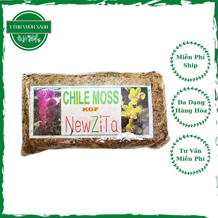 Dớn mềm CHILE MOSS - Dớn trắng giá thể trồng lan, tốt cho rễ cây, có khả năng giữ nước cao - gói 100g