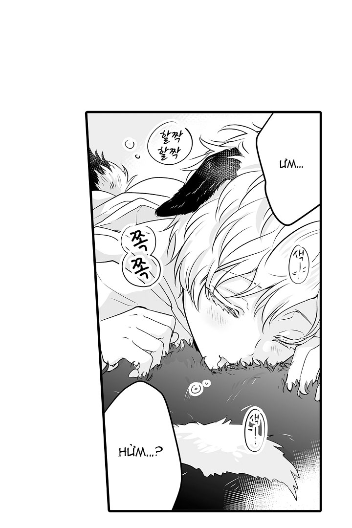 gấu ngủ đông chapter 1.1 14