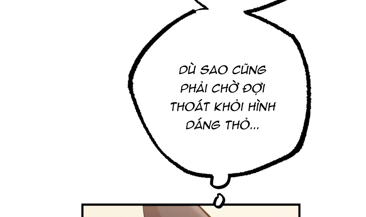 đàn thỏ của habibi chapter 49 47