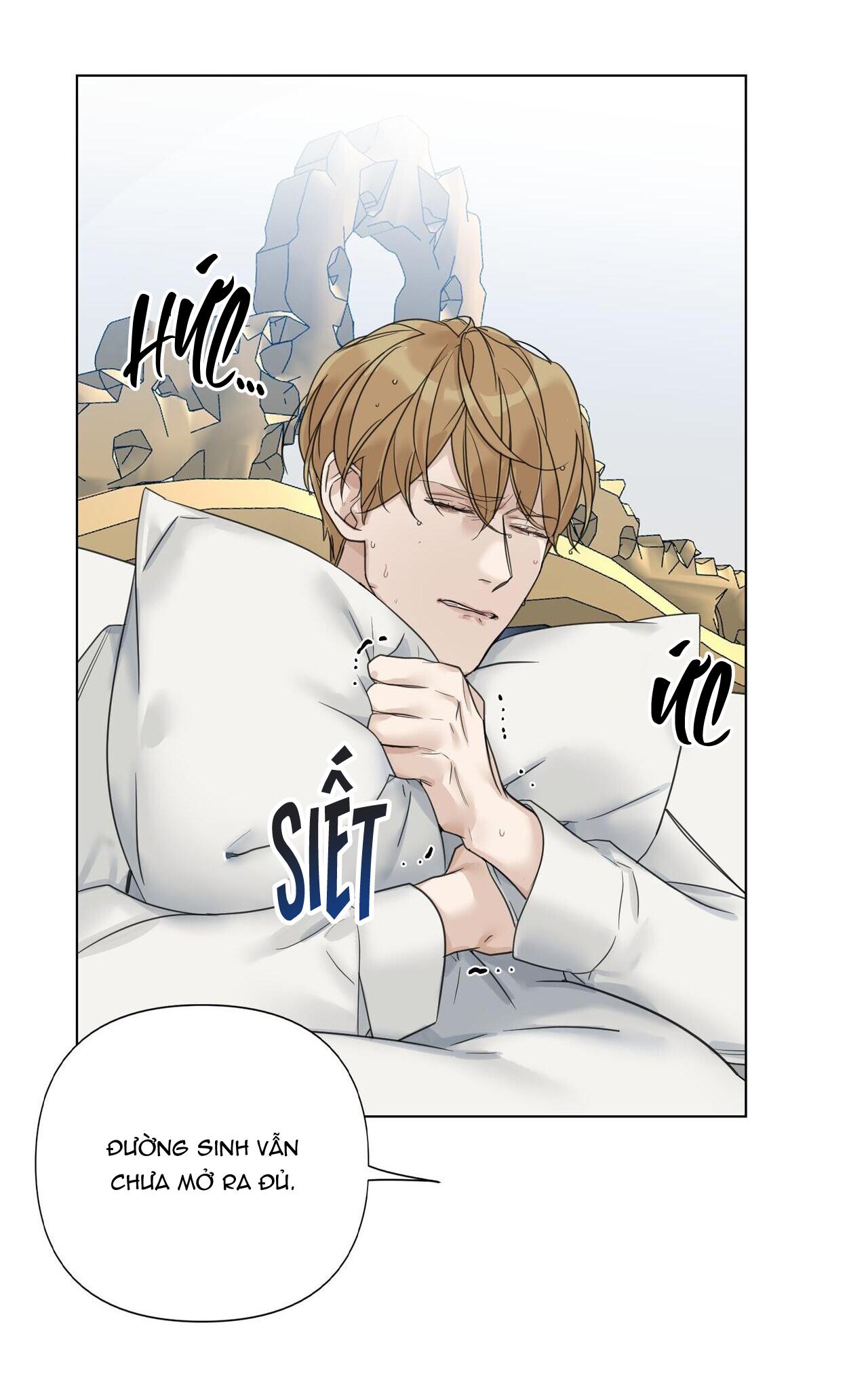 bước vào vườn hồng chapter 15 49