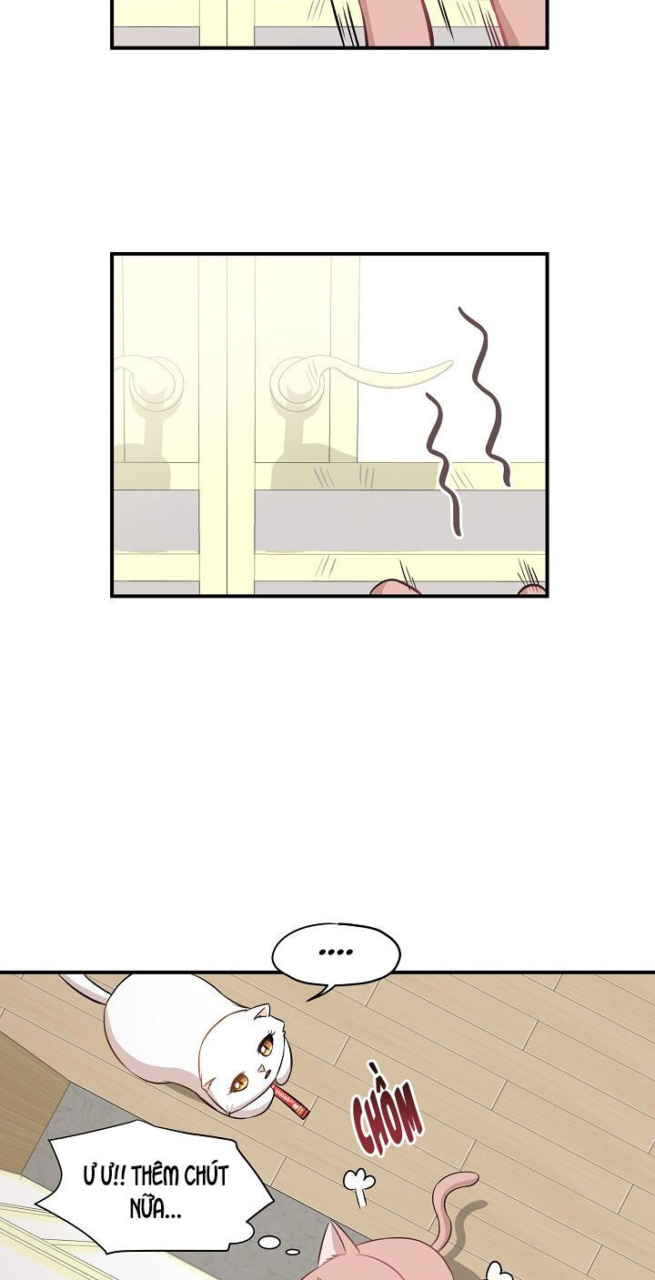 cuộc sống kỳ thú chapter 45 2