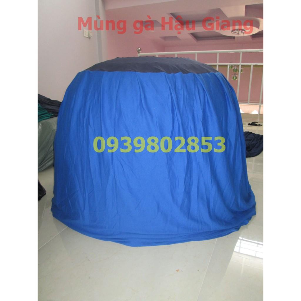 Mùng gà nòi loại tốt