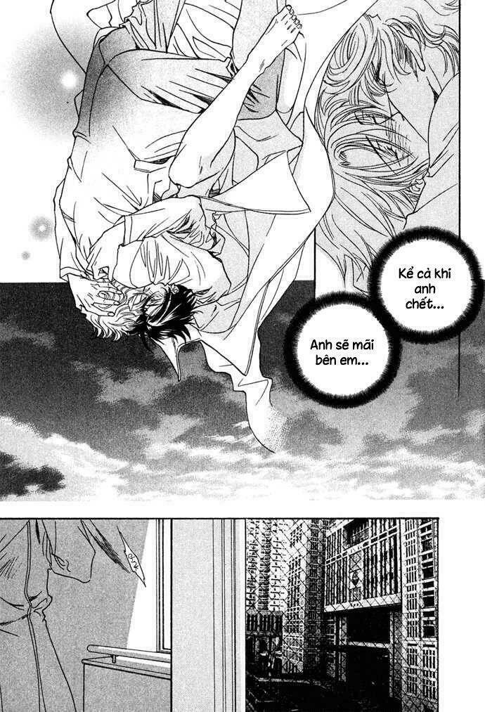 innocent bird chapter 12 25