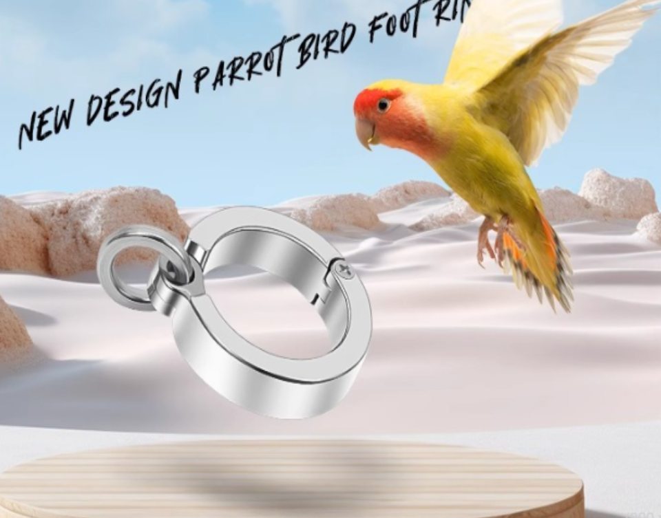 1 vòng chân inox 316L vặn vít (kèm vít) dùng đeo chân cho mọi dòng chim, vẹt