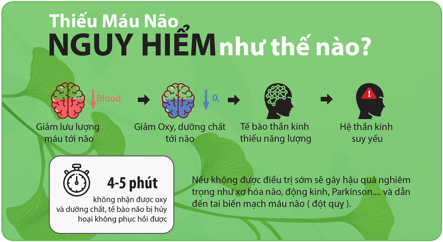 Spring Leaf Ginkgo Biloba 2000mg – Cải Thiện Tuần Hoàn – Tăng Cường Sức Khoẻ Não Bộ