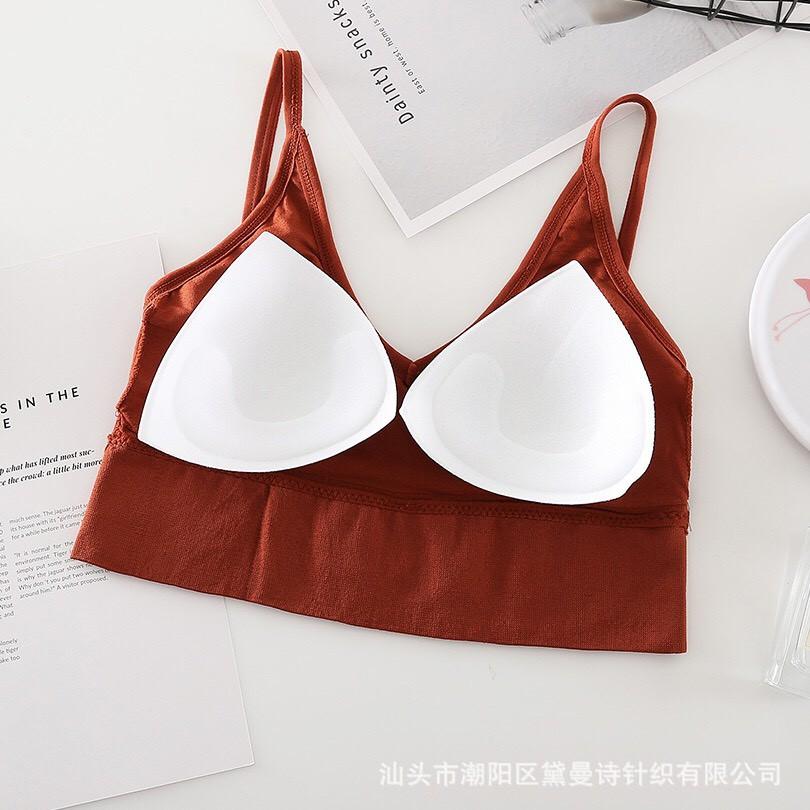 Bra Tăm Gân Khoét Hở Lưng Chữ U loại 1 không gọng kèm đệm mút QUINN BRA AB367 - Áo Lót croptop hot trend cao cấp hai dây