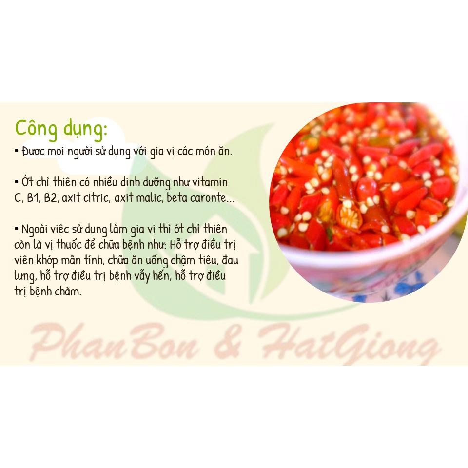 Hạt Giống Ớt Chỉ Thiên Lai F1 Siêu Cay - Phú Nông Seeds - Shop Phân Bón và Hạt Giống