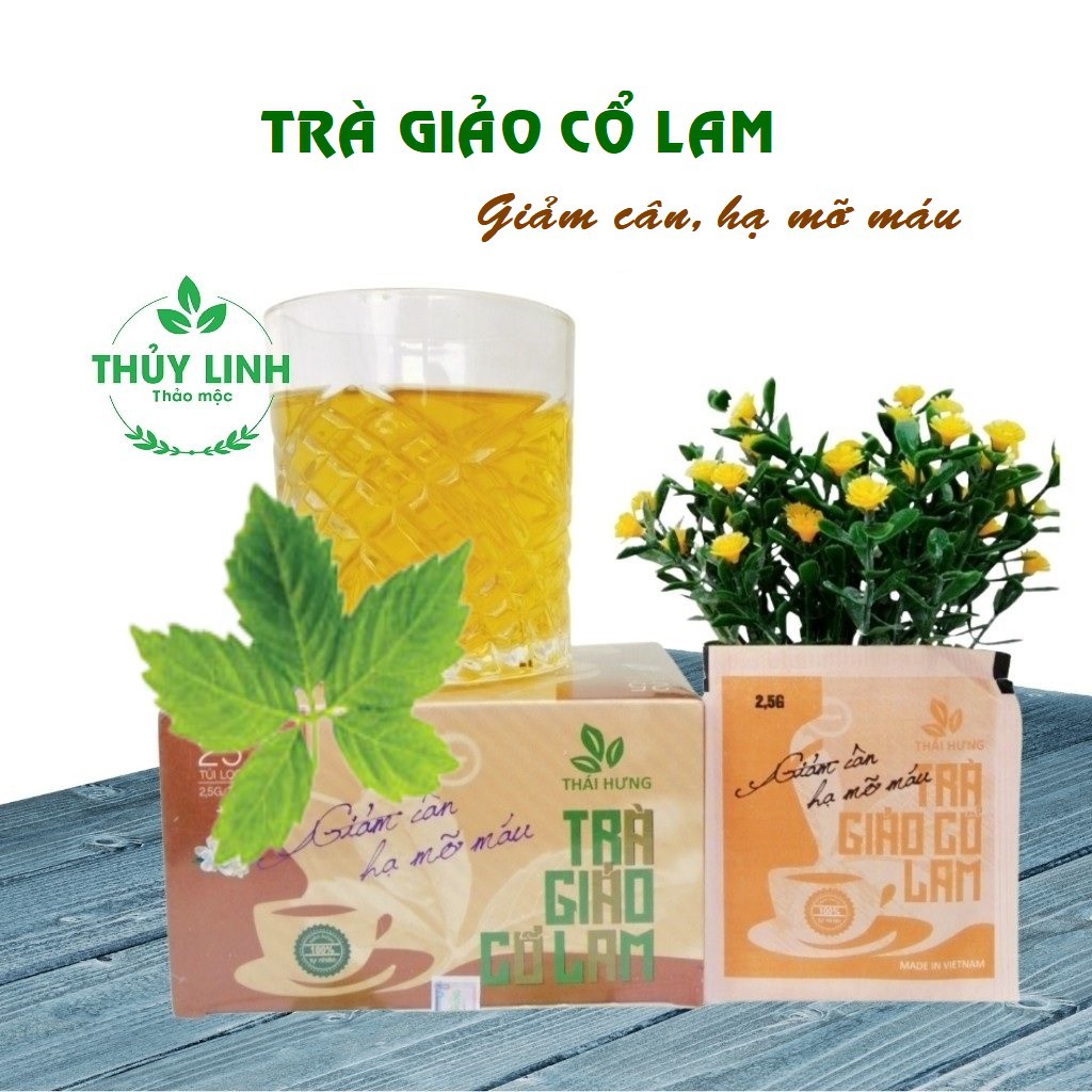 Combo 04 Hộp Trà thảo dược cao cấp Thái Hưng: GIẢO CỔ LAM (25 túi lọc 2,5g)