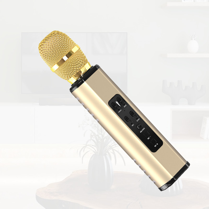 Mic Hát Karaoke Bluetooth Không Dây Tốt Nhất Hàng Cao Cấp - Hàng Chính Hãng PKCB