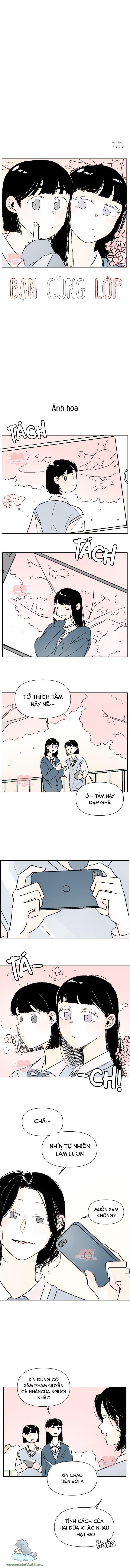 bạn cùng lớp chapter 13 1