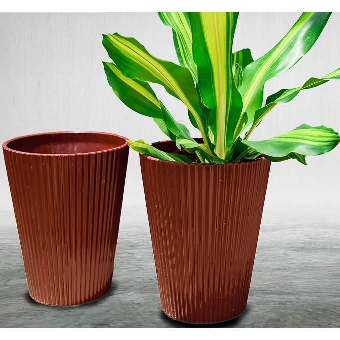 Combo 4 Chậu Trồng Cây, Chậu Nhựa Sọc Gân, Chậu Tròn Dáng Cao Hàng Cao Cấp