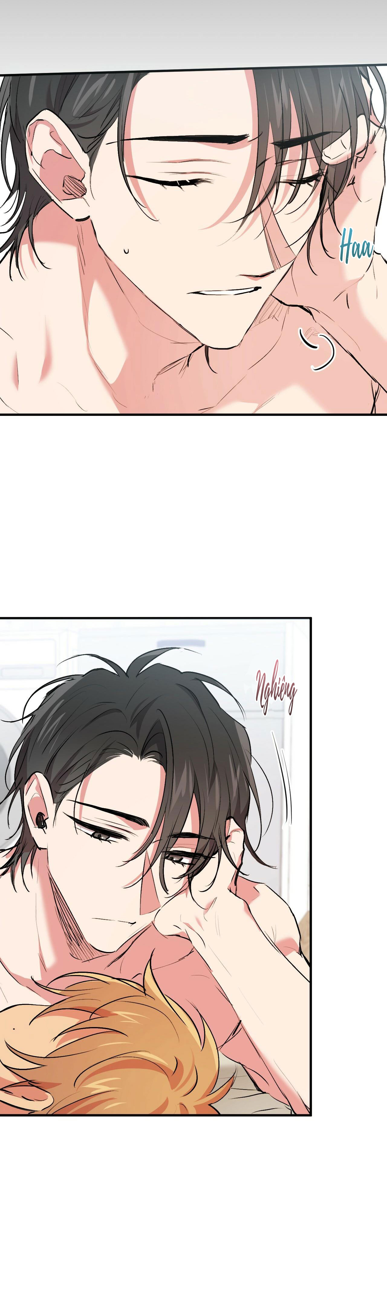 những chú thỏ của hapypy chapter 41 48