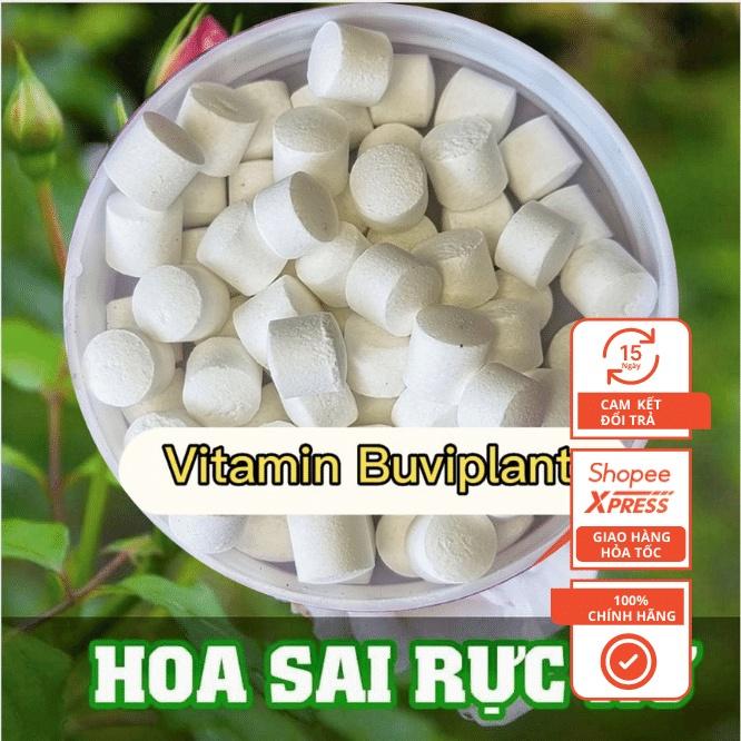 GÓI 100 VIÊN PHÂN BÓN TAN CHẬM BUVIPLANT SIÊU DINH DƯỠNG CHO CÂY( bón được cho tất cả các loại cây)