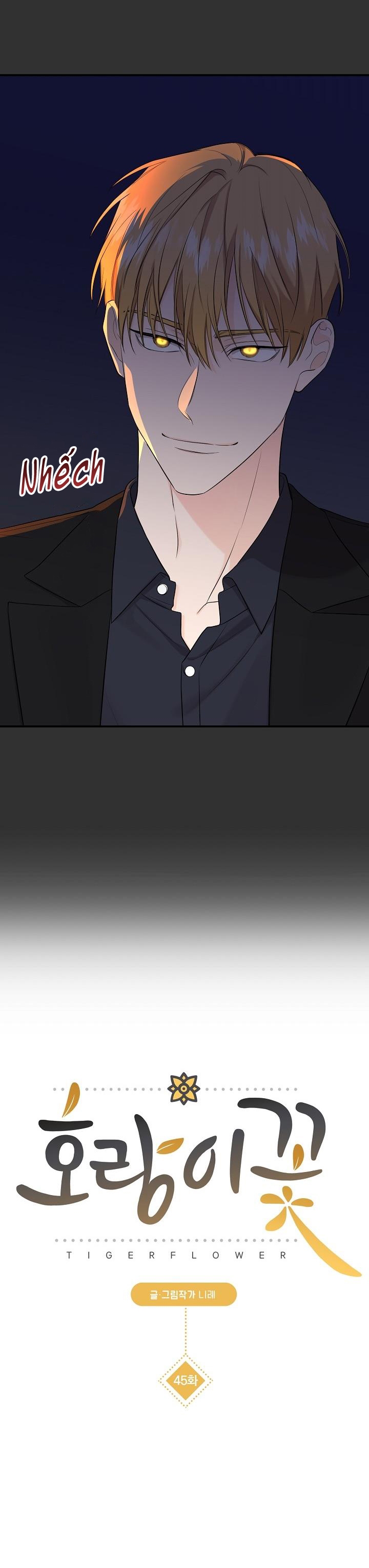 hoa ly hổ chapter 45 7