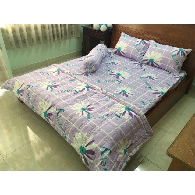 Bộ 4 món drap+áo gối cotton thắng lợi