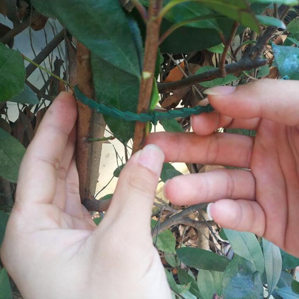 2xGarden Plant Tie Plastic Reusable Ties Tree Climbing Support Garden Tie 23CM