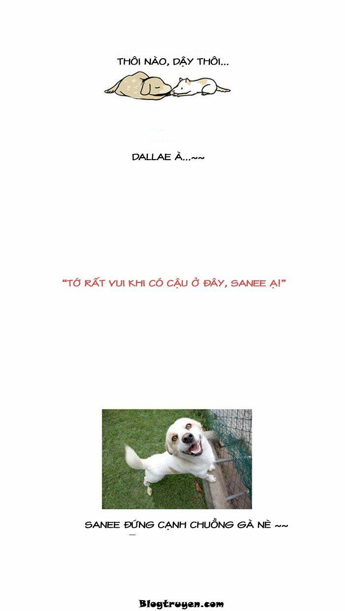 my kitty and old dog chapter 12 12