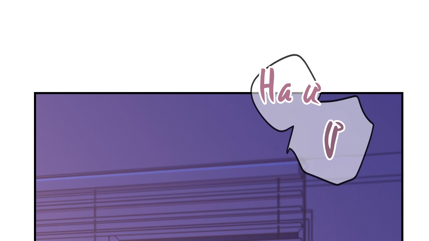 lãng mạn giả dối chapter 11 259