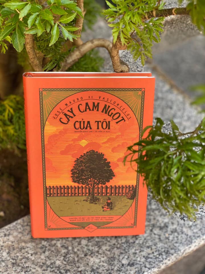 CÂY CAM NGỌT CỦA TÔI (Bìa cứng)