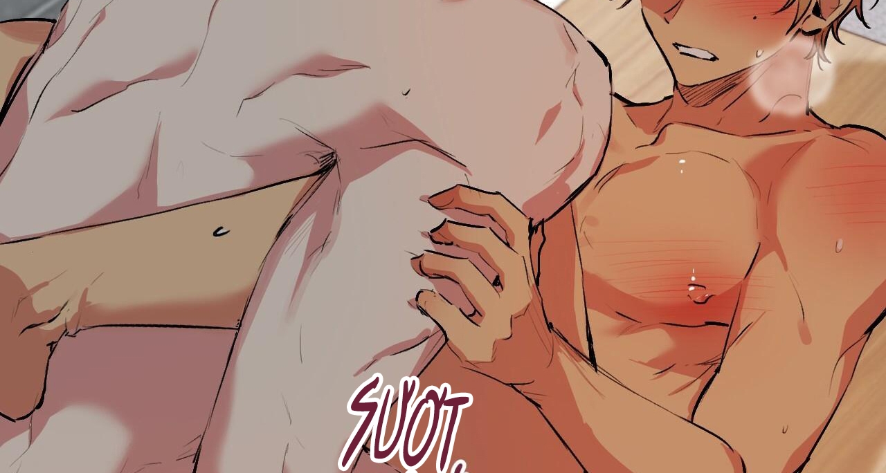 đàn thỏ của habibi chapter 43 166