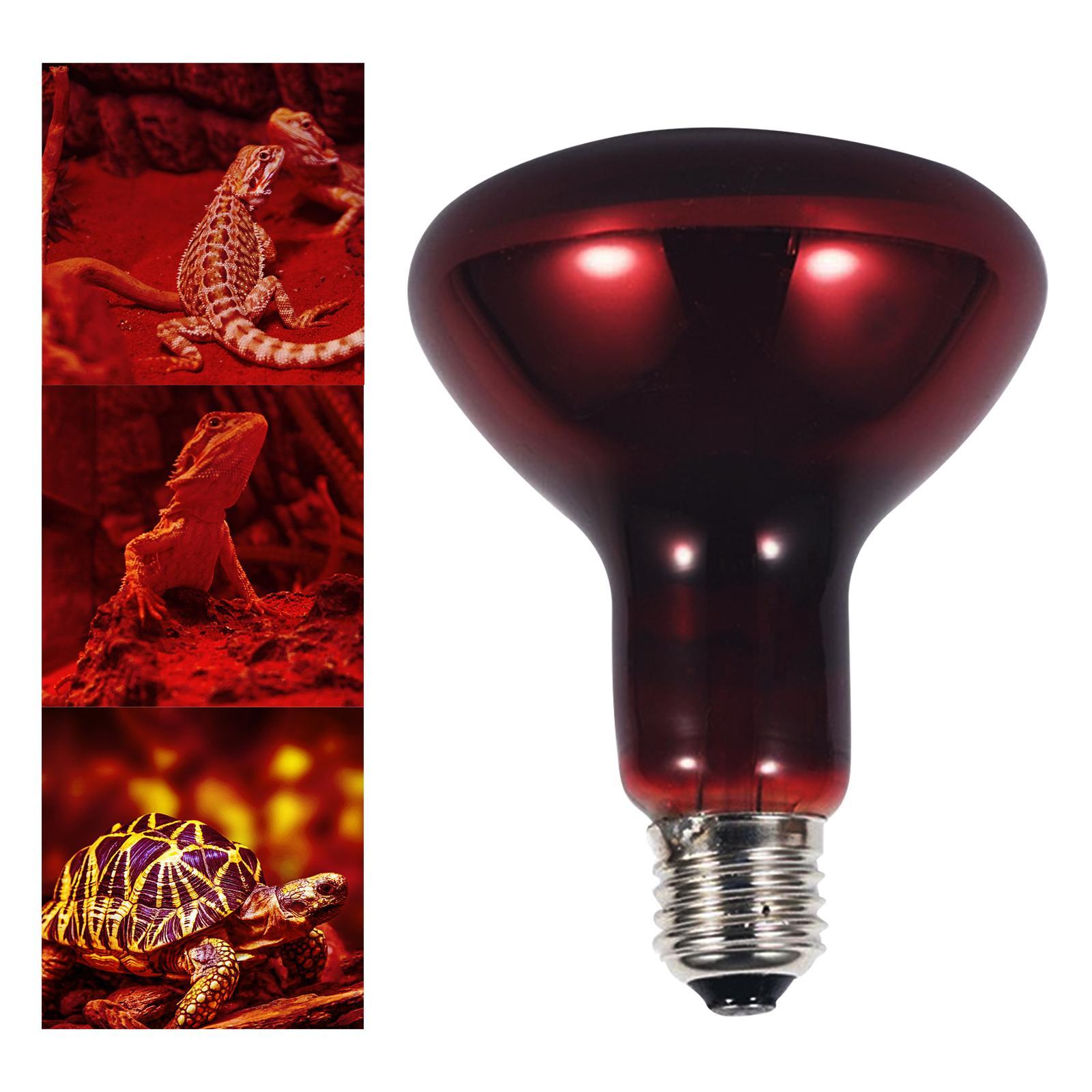 E27 Reptile Light Bulb Heating Lamp Hedgehogs Pet Supplies 100W Warm