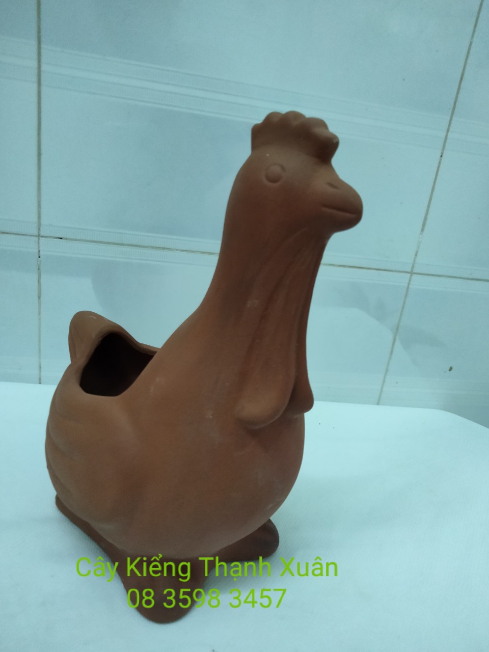 Chậu trồng cây, chậu đất nung hình Con gà, Chậu hình thú trồng cây hoa kiểng, sen đá, xương rông, cây may mắn, cây mini