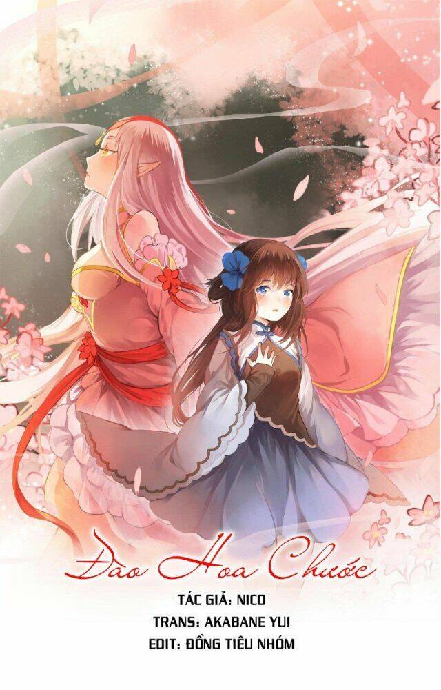 đốt đào hoa chapter 32.3 55