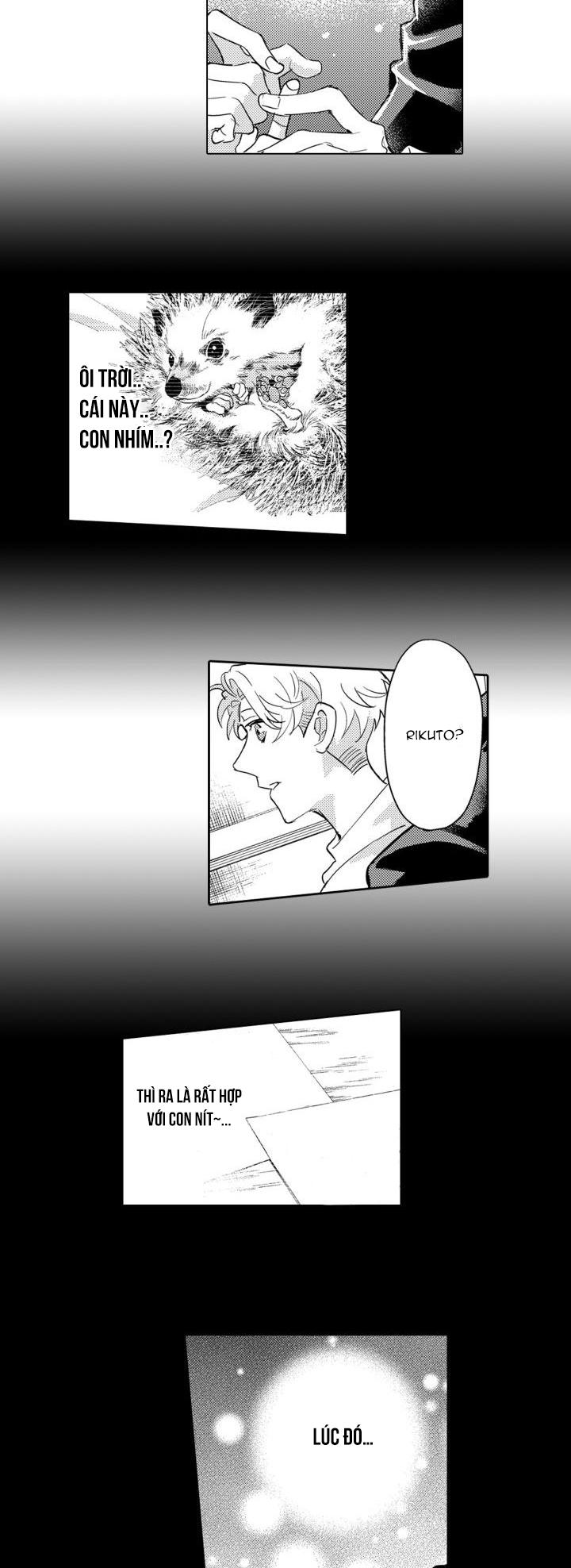 hiyoko-chan to harinezumi-kun chapter 8 38