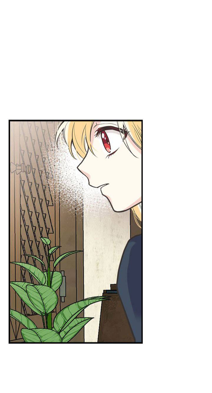 chị tôi đã nhặt về một nam chính quyến rũ chapter 21 47