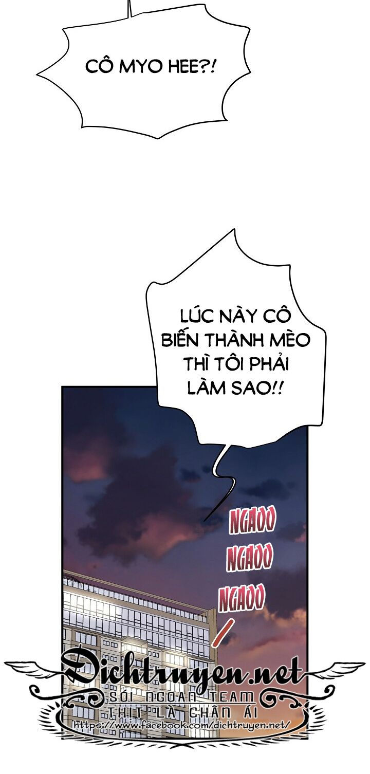 cuộc sống kỳ thú chapter 34 65