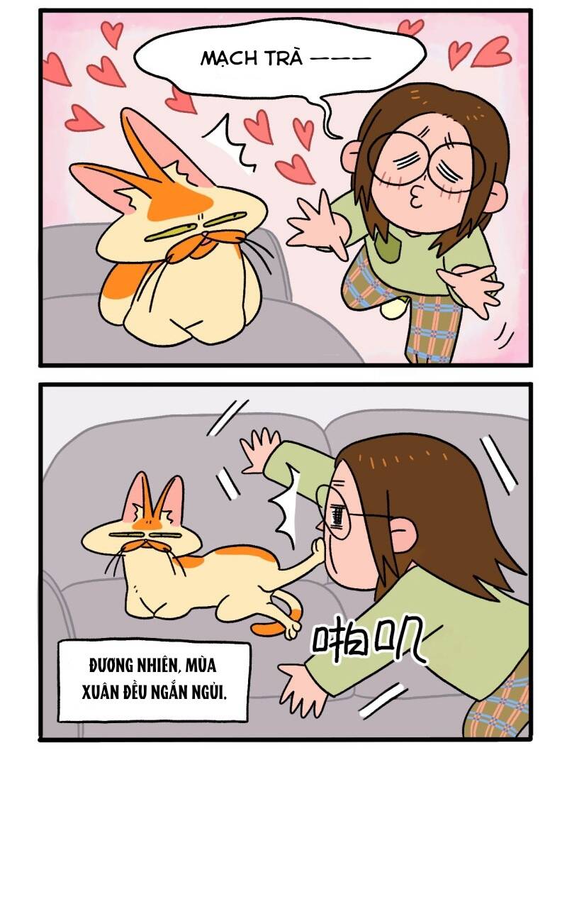 a mãn và mạch trà chapter 3 6