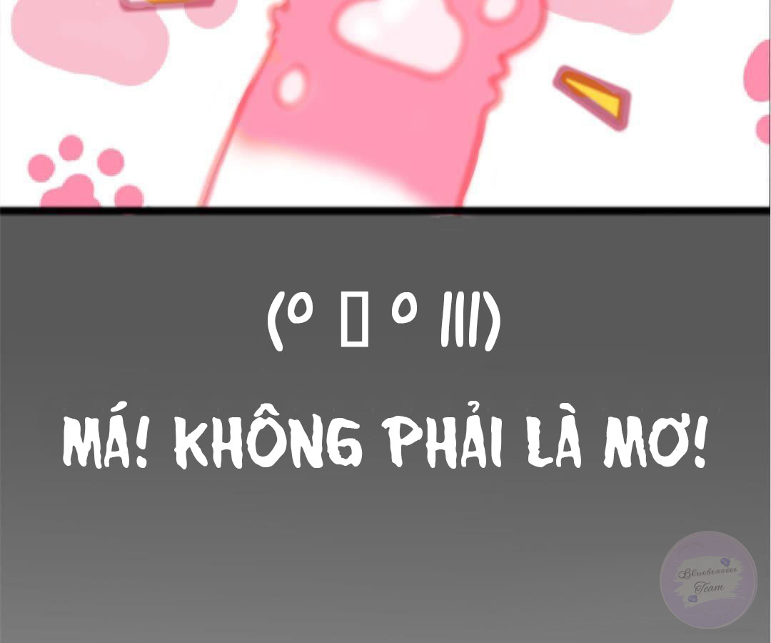 social cat chapter 1 31