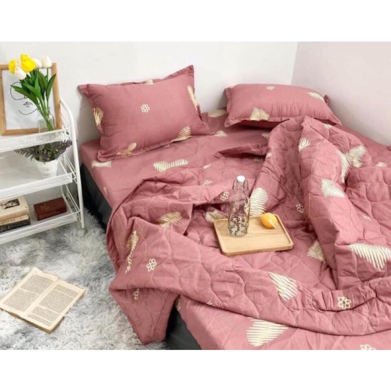 Sét 5 món ga poly cotton 2mx2m2