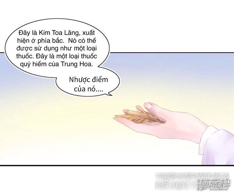 thịnh thế vô cấu chapter 6 21