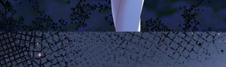 học cùng em gái, tôi bất cẩn vô địch rồi chapter 118 17