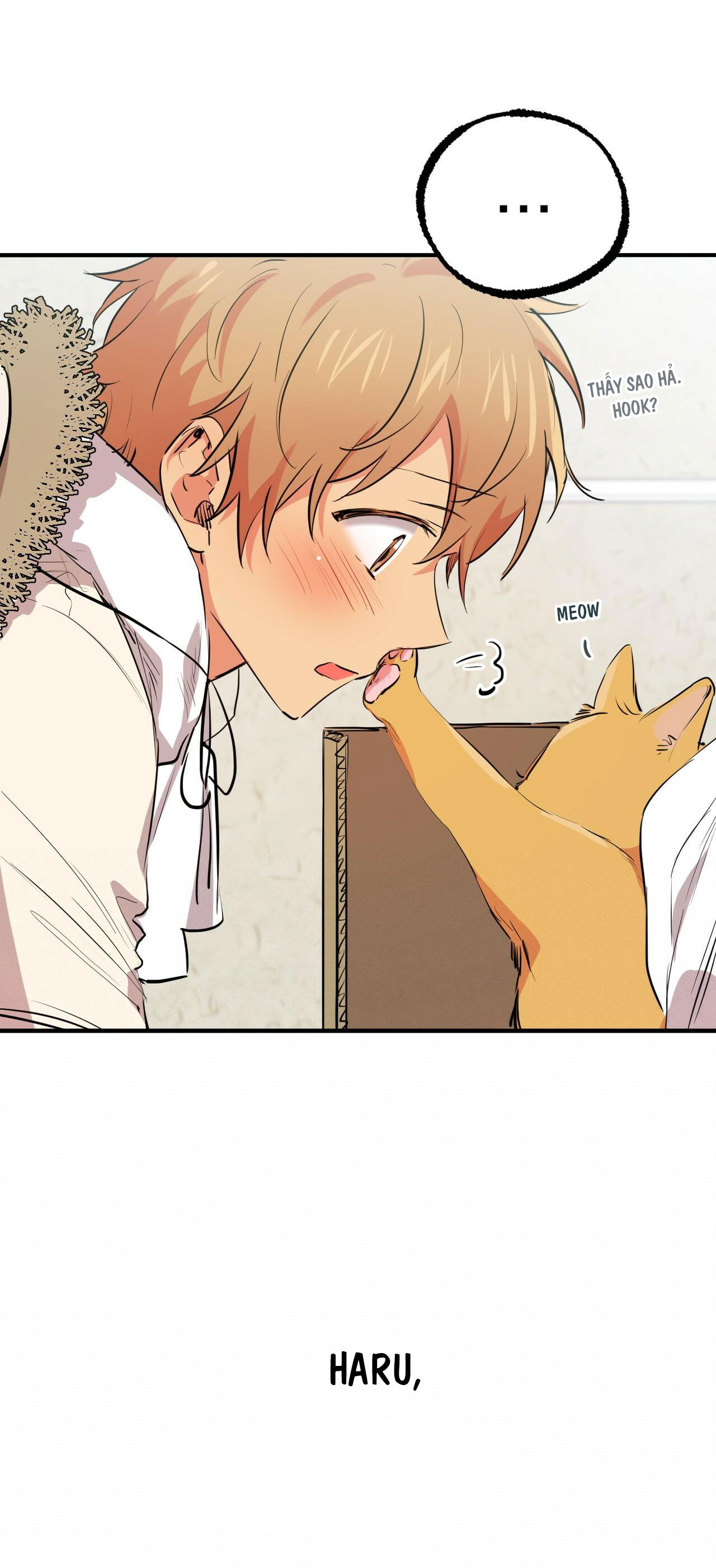 những chú thỏ của hapypy chapter 31 17