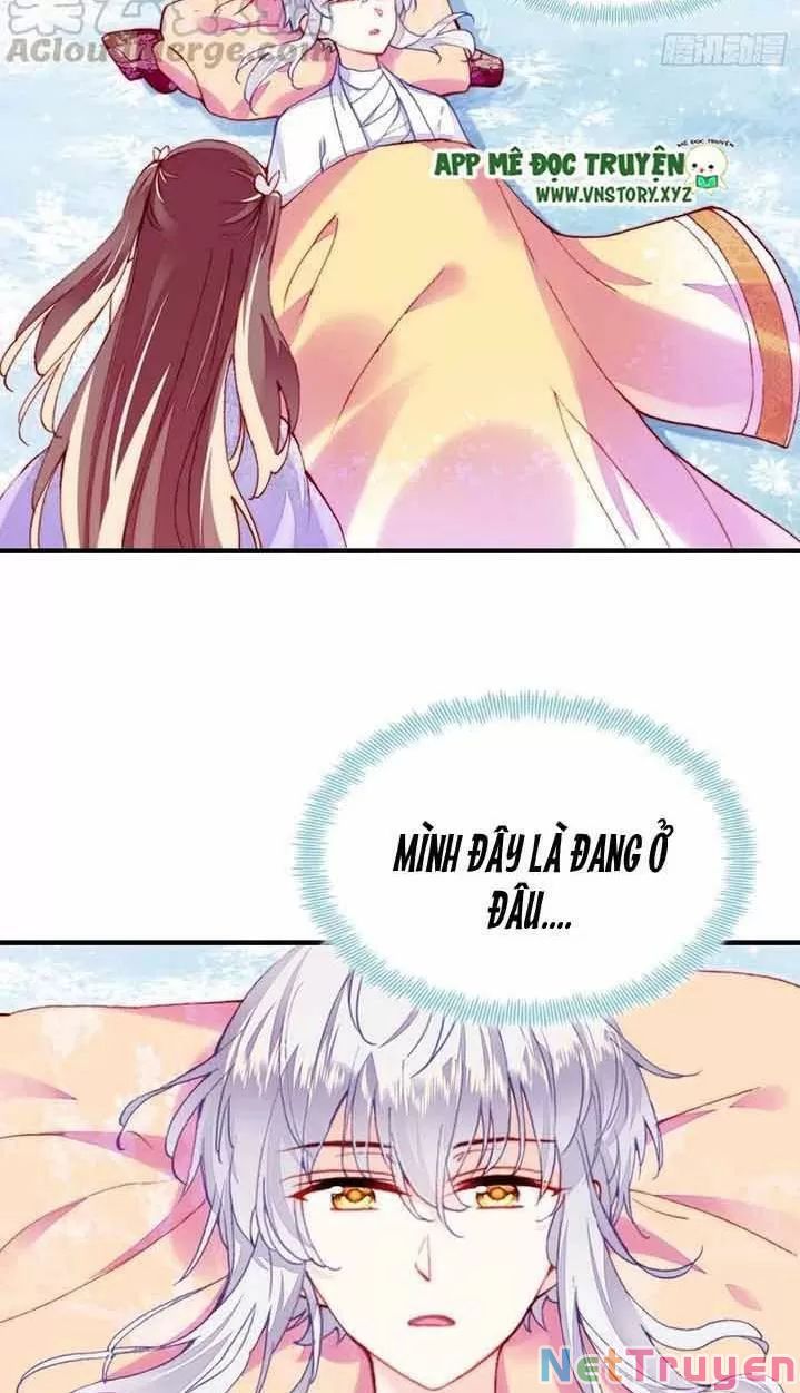 lại bị bệnh chiều chuộng quấn lấy chapter 15 31