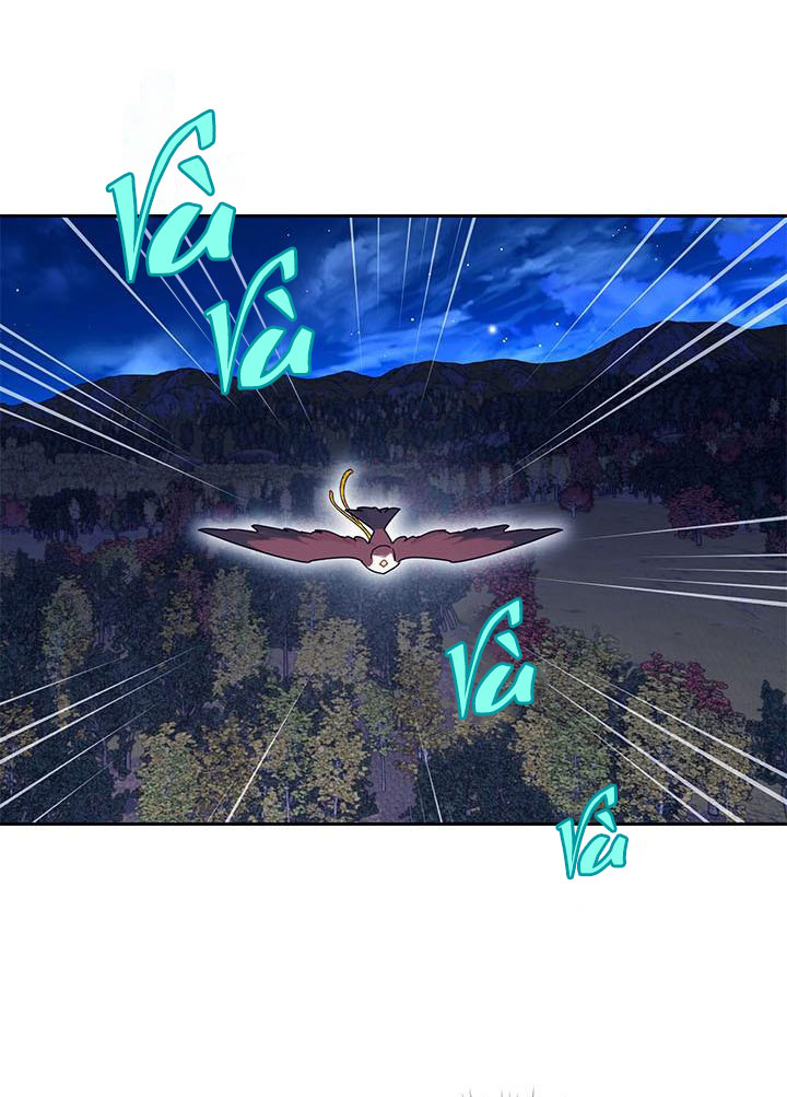 công chúa của loài chim chapter 38.1 13