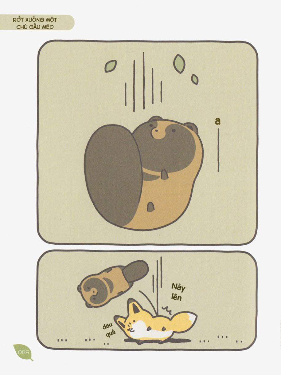 cáo và gấu mèo chapter 6 10