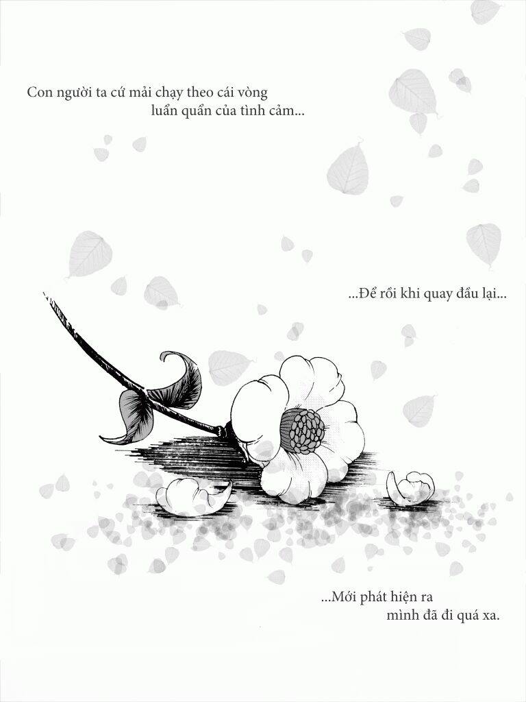 đuổi theo một bóng hình chapter 1 1