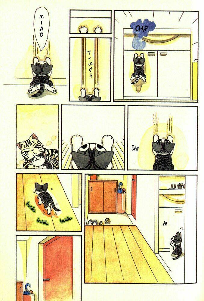 chi's sweet home chapter 4 6